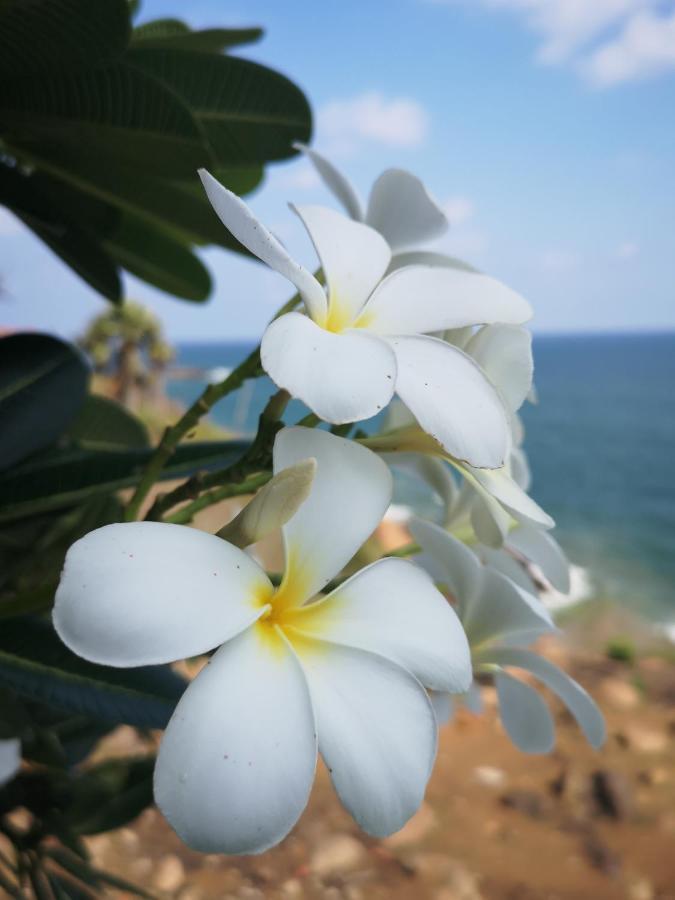 Cherai Lake Resort Cherai Beach Esterno foto